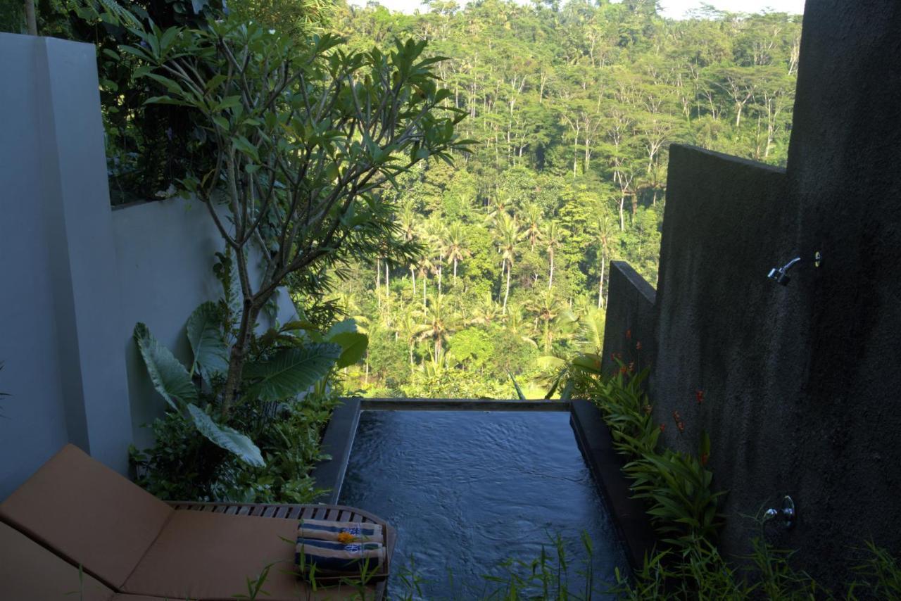 Superior One-Bedroom Jungle View Villa with Plunge Pool